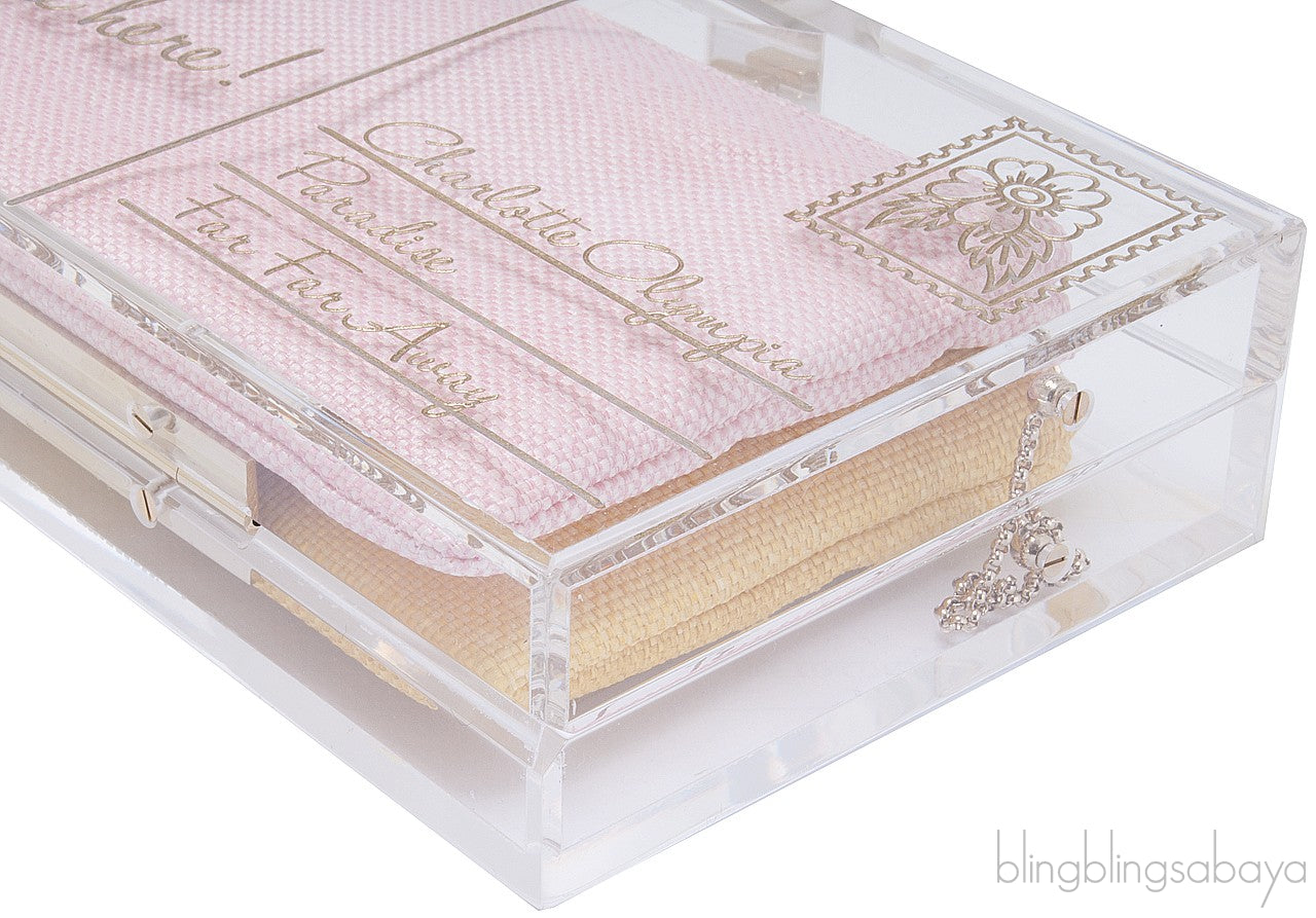 Pandora Plexiglass Clutch