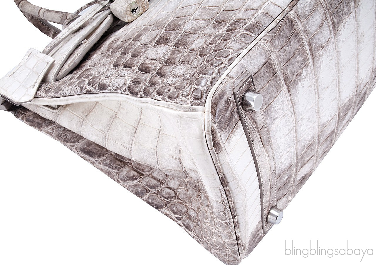 Birkin 30 Himalaya Matte Niloticus