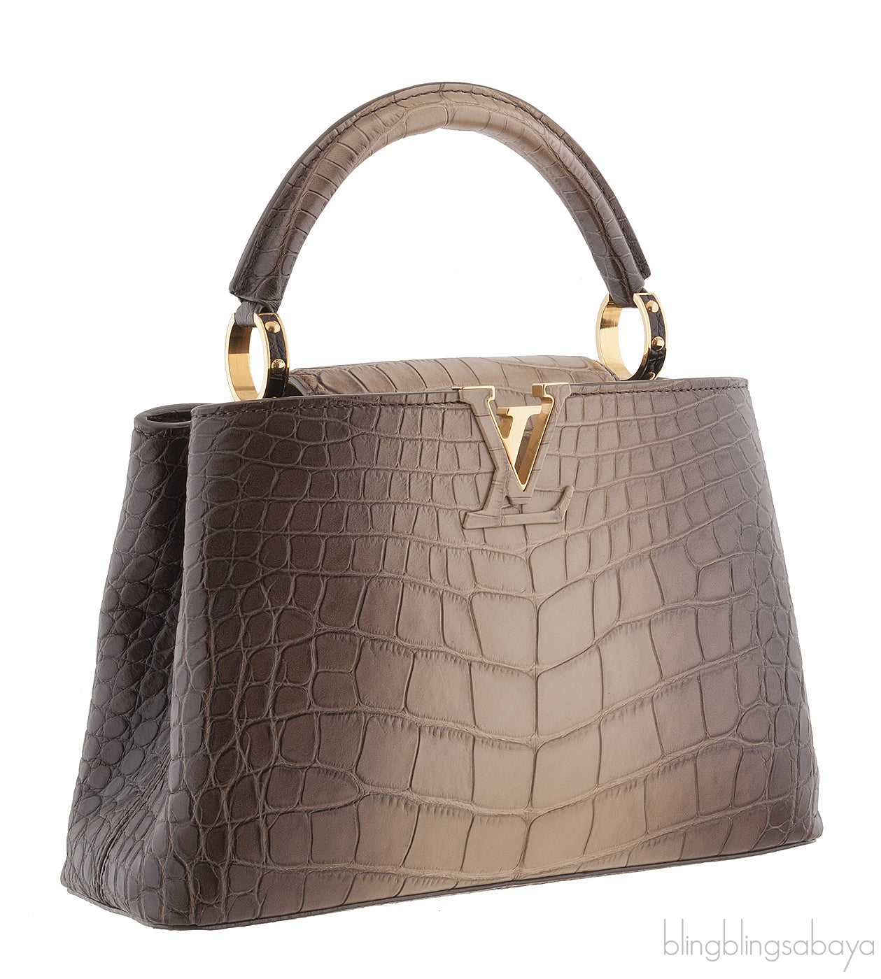 Capucine Gradient Crocodile B