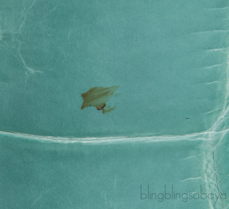 Tiffany Blue Cornelia Lunch Box Crocodile Bag
