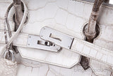 Birkin 30 Himalaya Matte Niloticus
