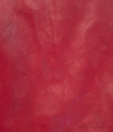Red Leather Skirt