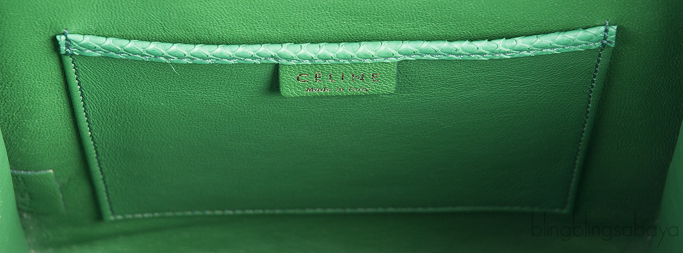 Green Python Nano Luggage
