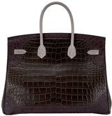 Birkin Ghillies Croc Lizard Ostrich