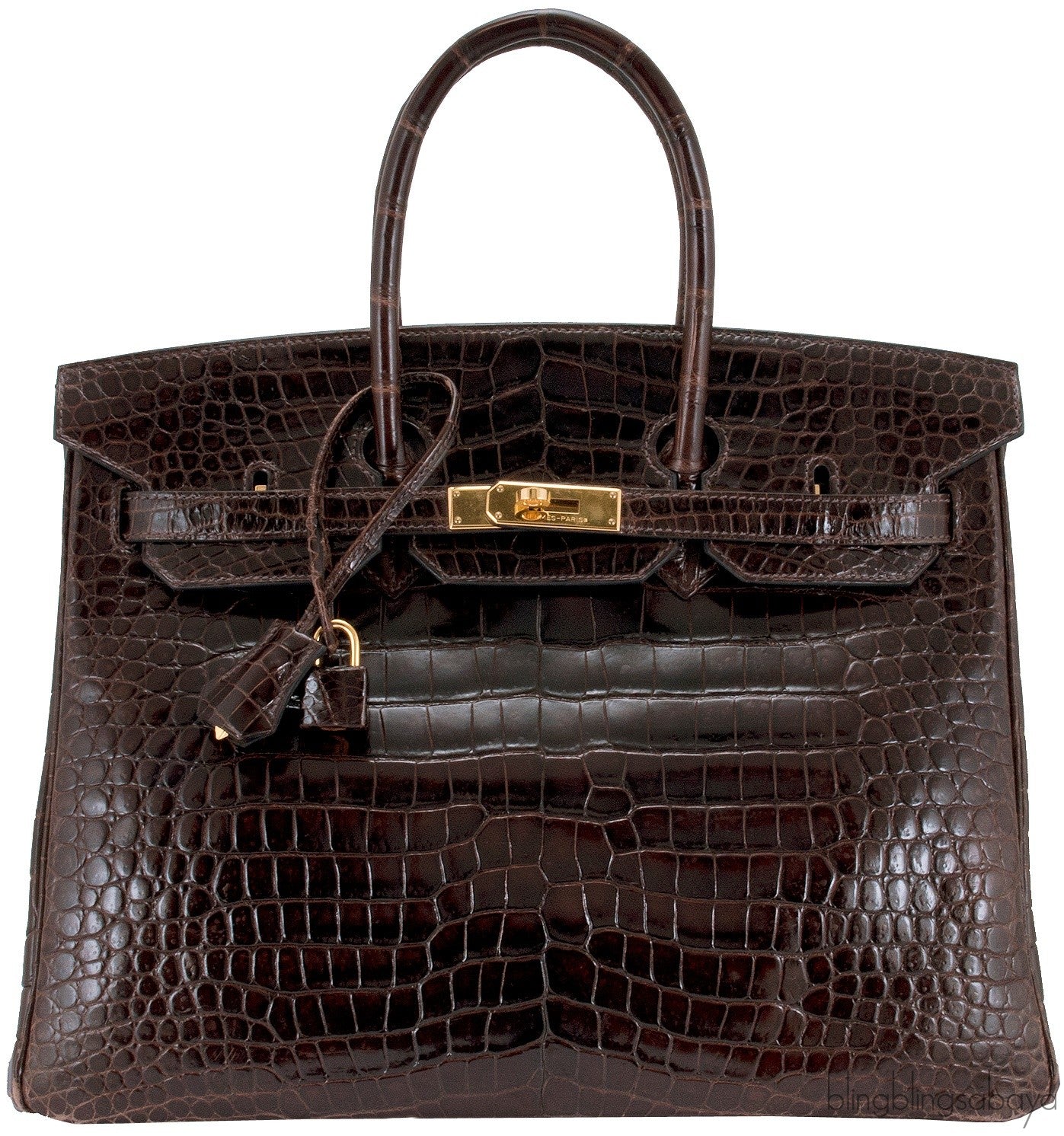 Birkin 35 Brown Patent Porosus GHW