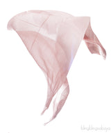 Old Pink Sequin Emb. Shawl