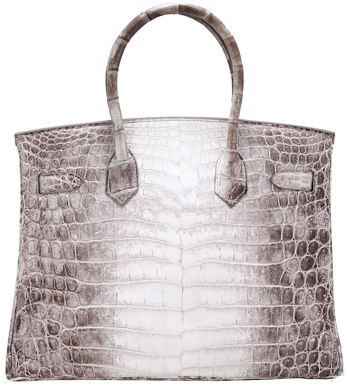 Birkin 30 Himalaya Matte Niloticus