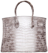 Birkin 30 Himalaya Matte Niloticus