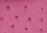 Birkin 30 Fuchsia Pink Ostrich PHW