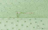 Laykh Apple Green & Pink Ostrich Trapezoid Clutch