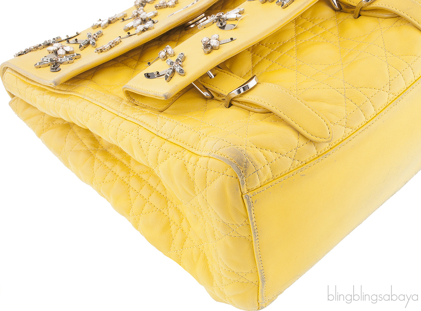 Dior Embroidered Stardust Backpack