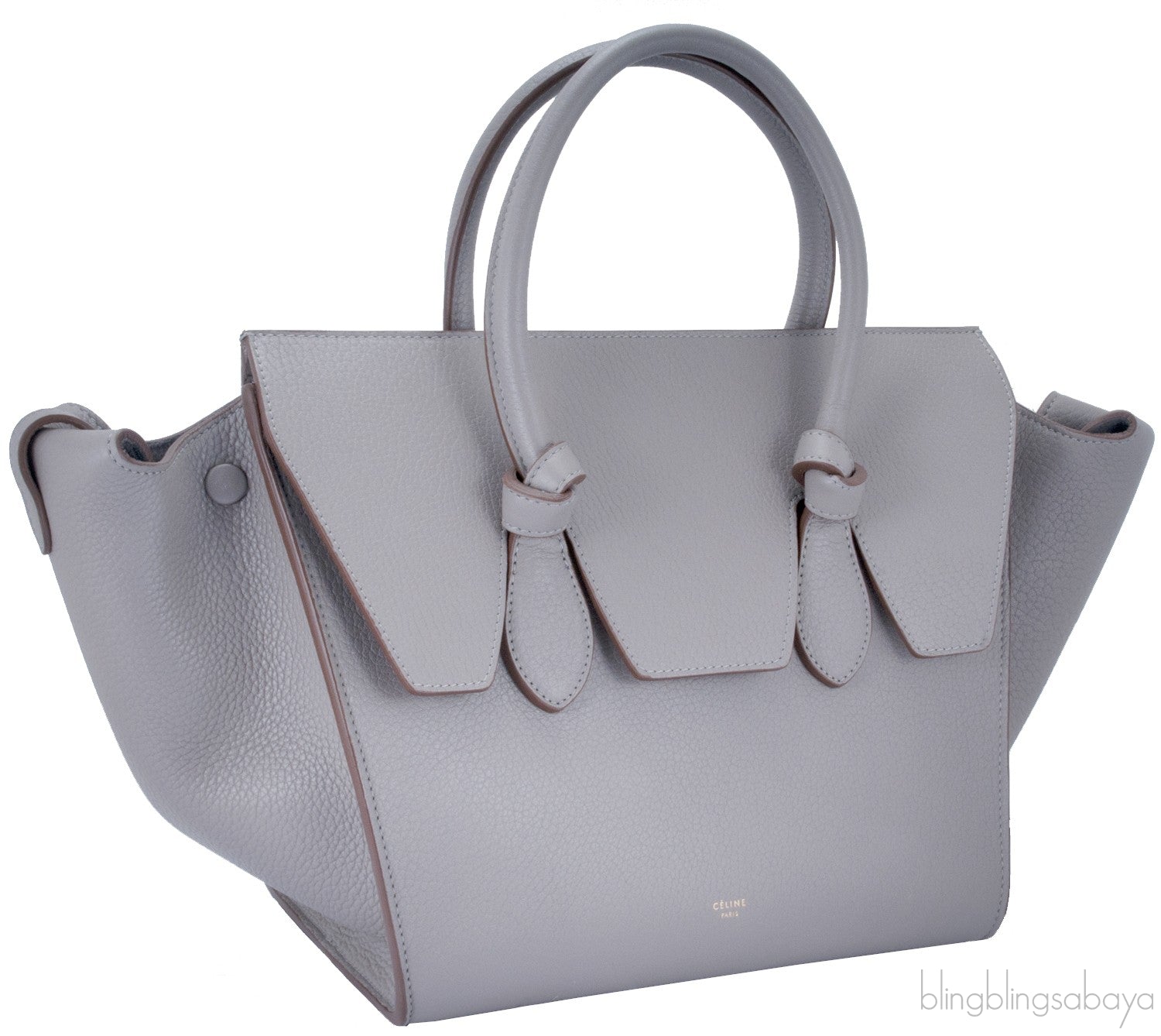 Taupe Leather Tie Tote Bag