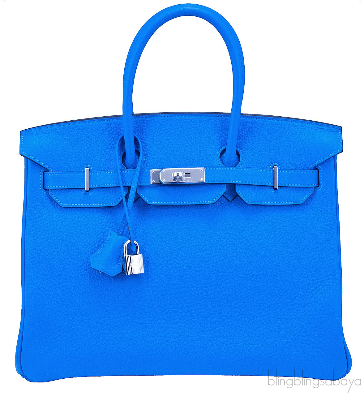 Birkin 35 Blue Hydra Clem