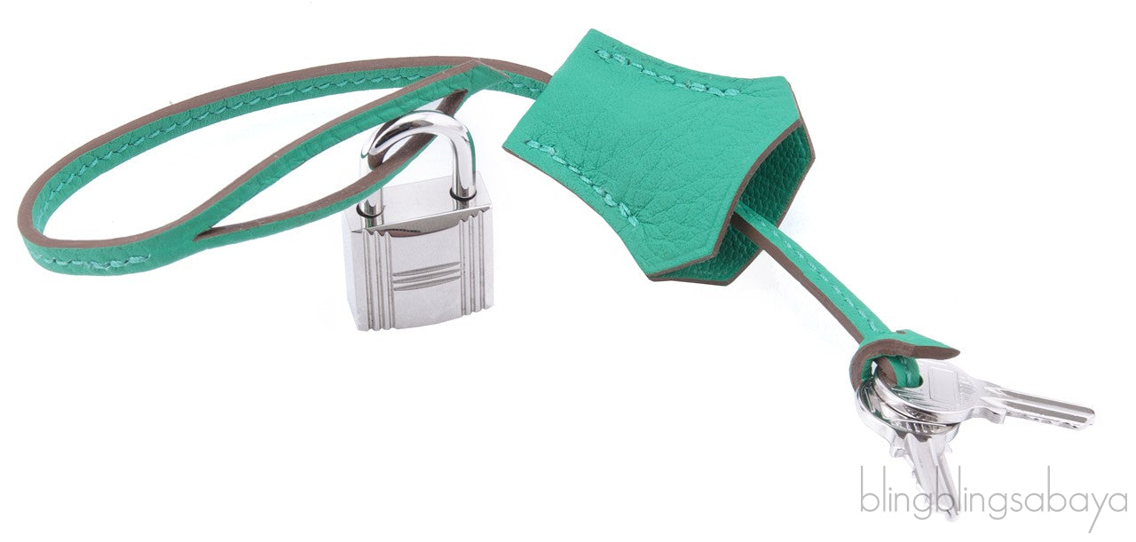 Birkin 35 Menthe Green Clem