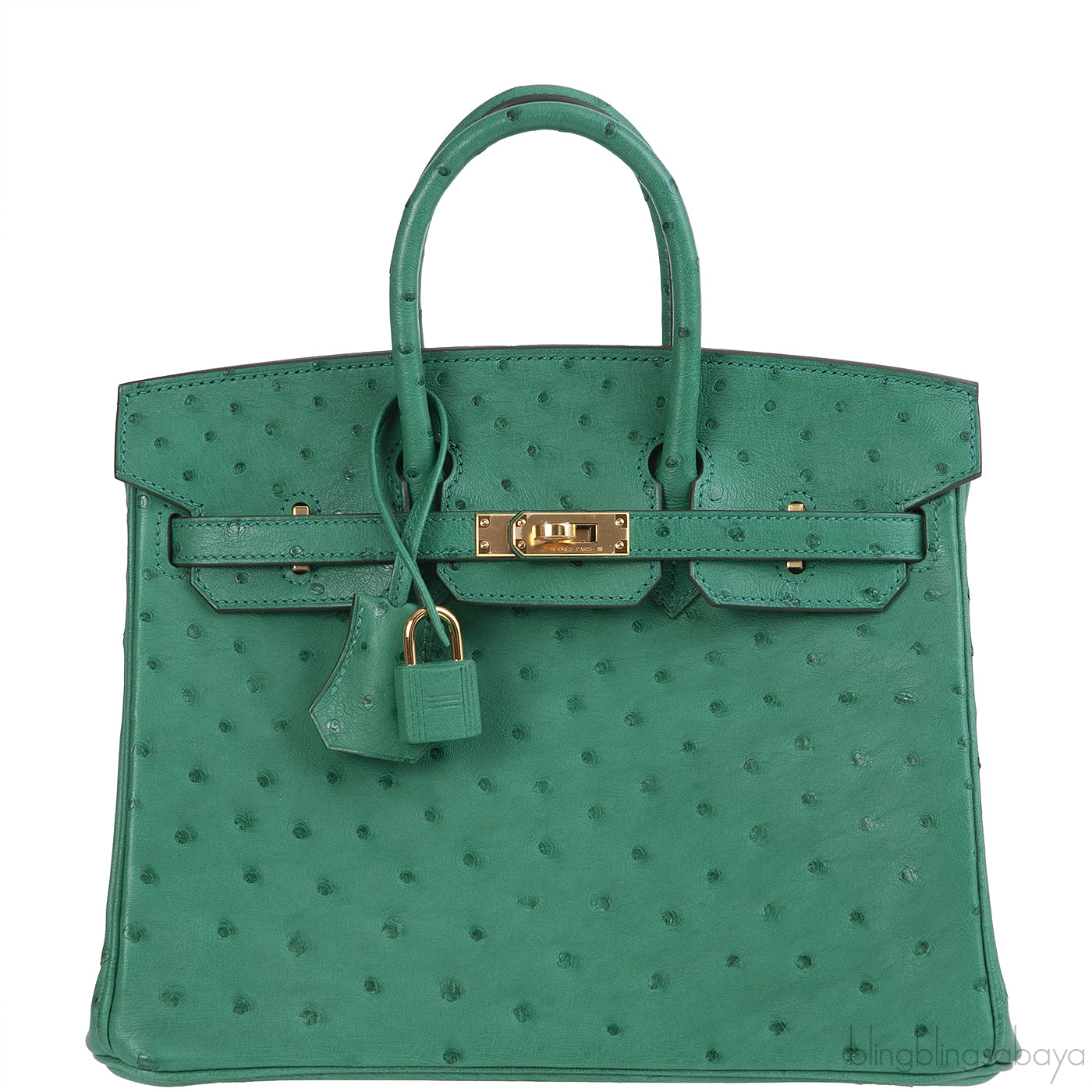 Hermes Birkin 25 Ostrich Vert Vertigo GHW