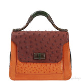 Tri-color Leather Top Handle Bag