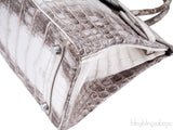 Birkin 30 Himalaya Matte Niloticus