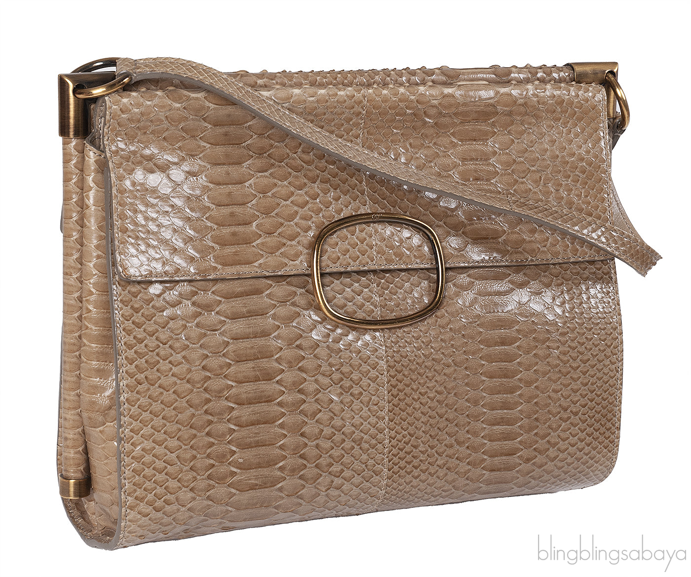 Roger Vivier Greyish Brown Python Shoulder Bag