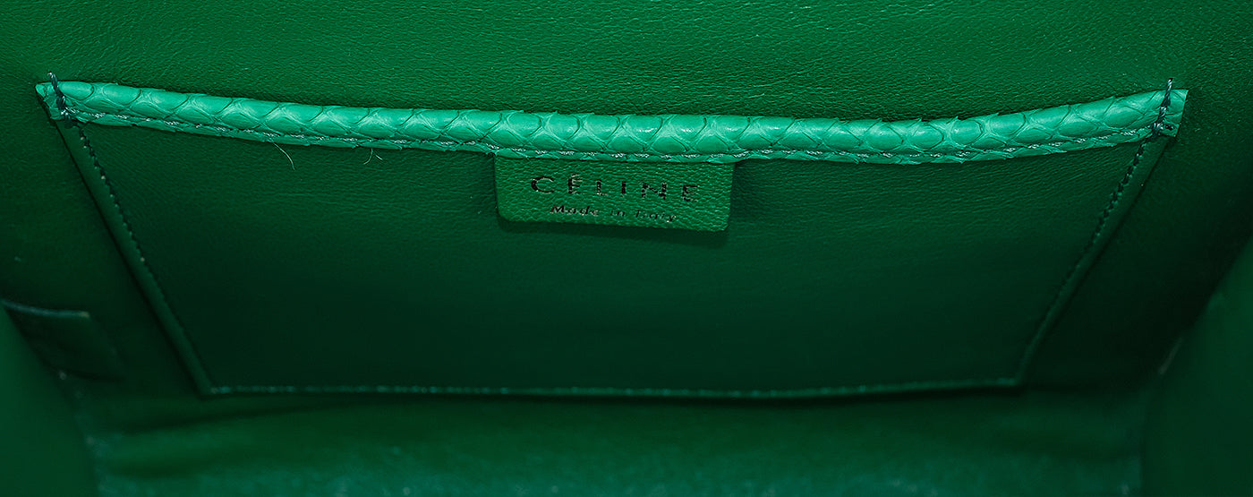 Celine Green Python Nano Luggage