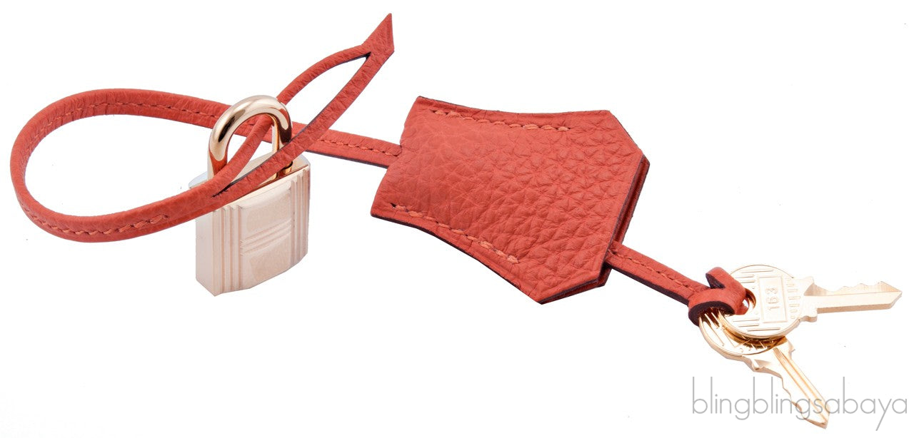 Birkin 35 Orange Taurillon Clem.