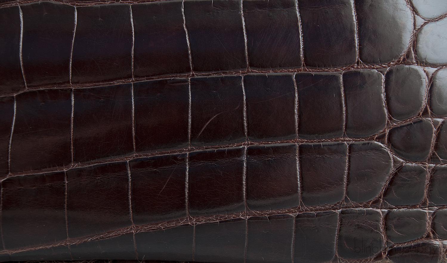 Birkin 30 Dark Brown Crocodile