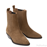 Isabel Marant Delena Suede Ankle Boots