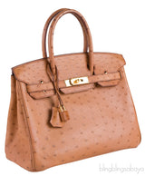 Birkin 30 Ostrich Cognac GHW