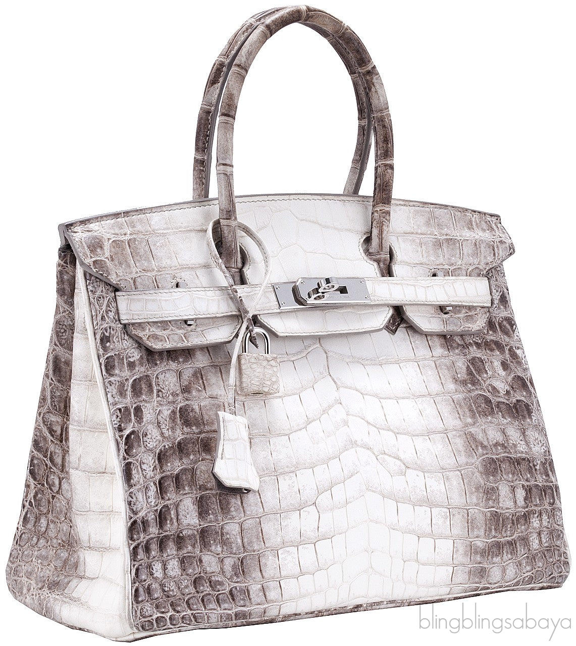 Birkin 30 Himalaya Matte Niloticus