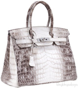 Birkin 30 Himalaya Matte Niloticus