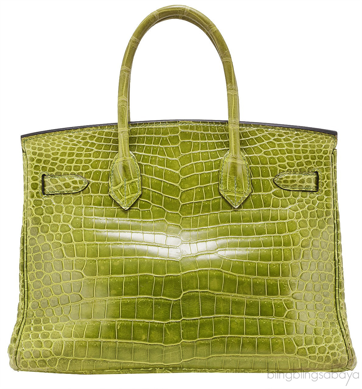Birkin 30 Vert Pelouse Porosus