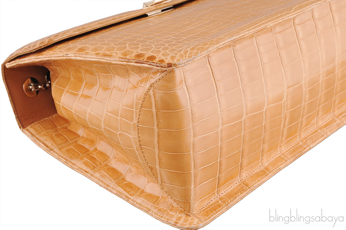 Beige Cornelia Lunch Box Crocodile Bag