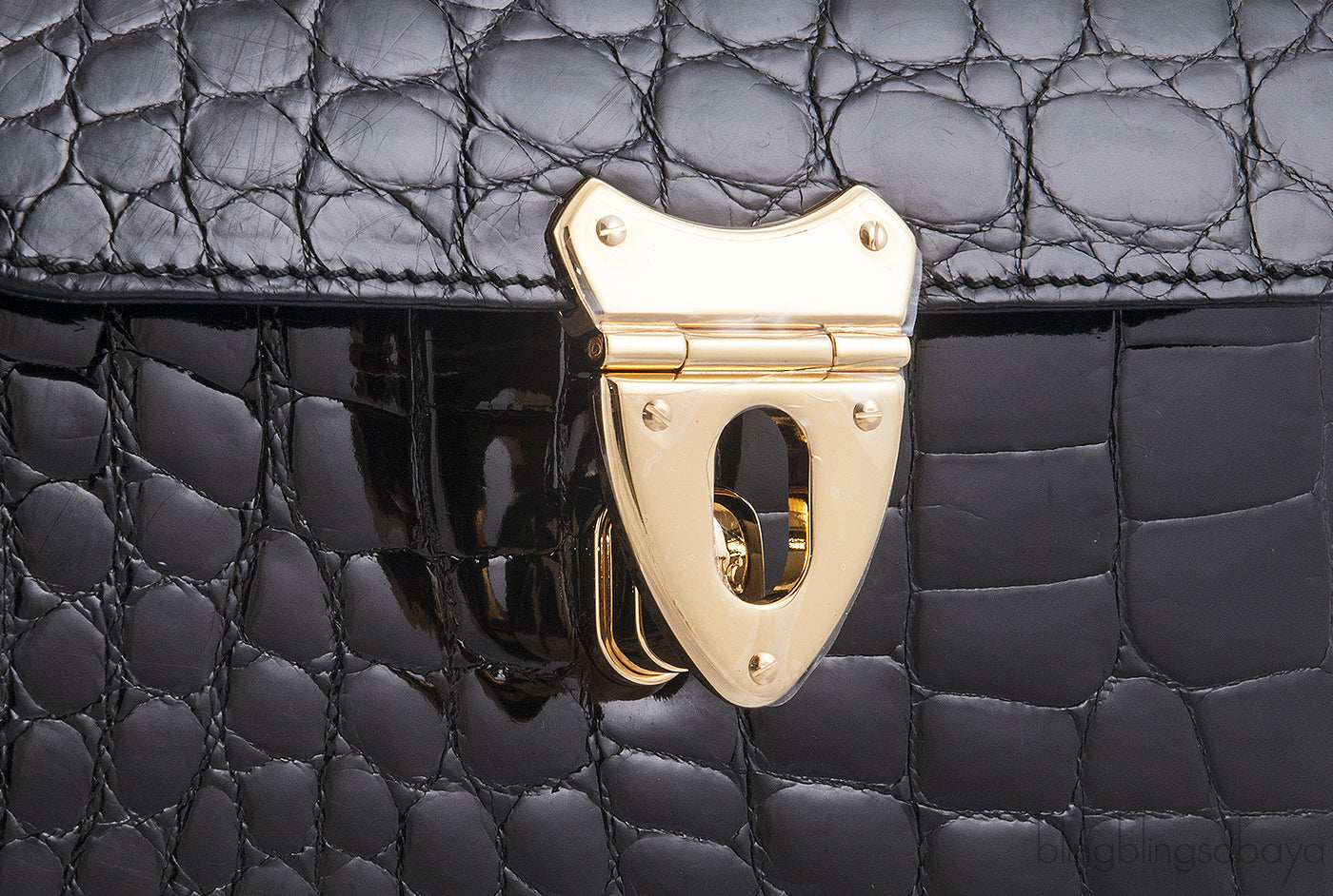 Edge Hexagon Crocodile Bag