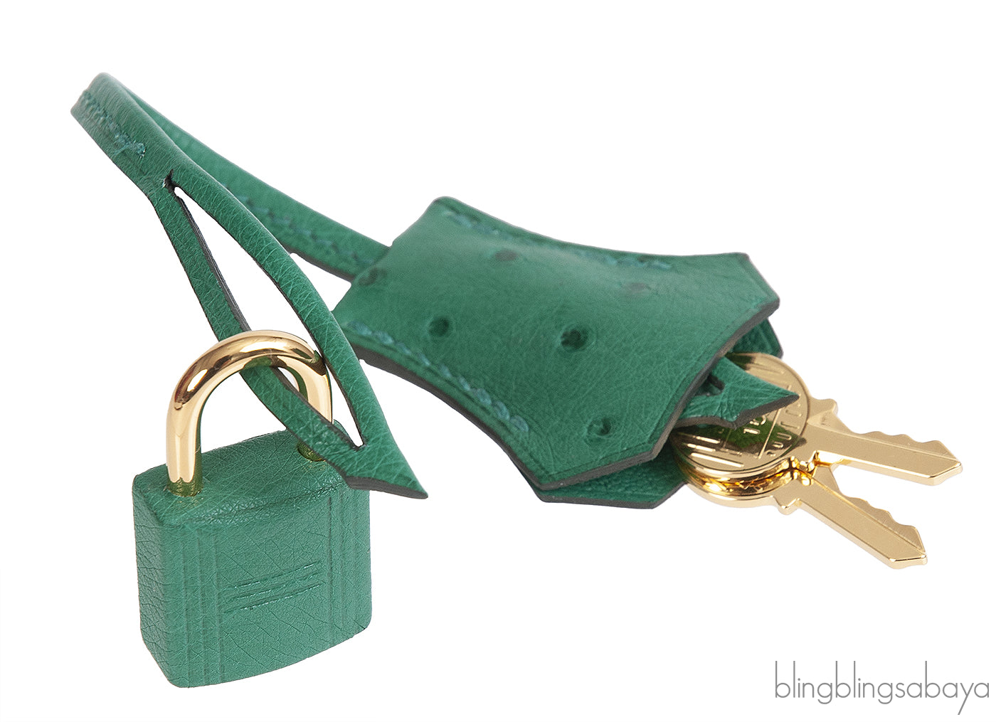 Hermes Birkin 25 Ostrich Vert Vertigo GHW