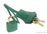 Hermes Birkin 25 Ostrich Vert Vertigo GHW