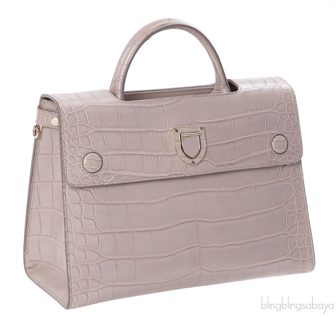 Christian Dior Diorever Crocodile Medium Bag