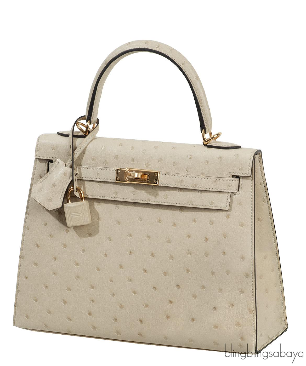 Kelly 25 Parchemin Ostrich GHW