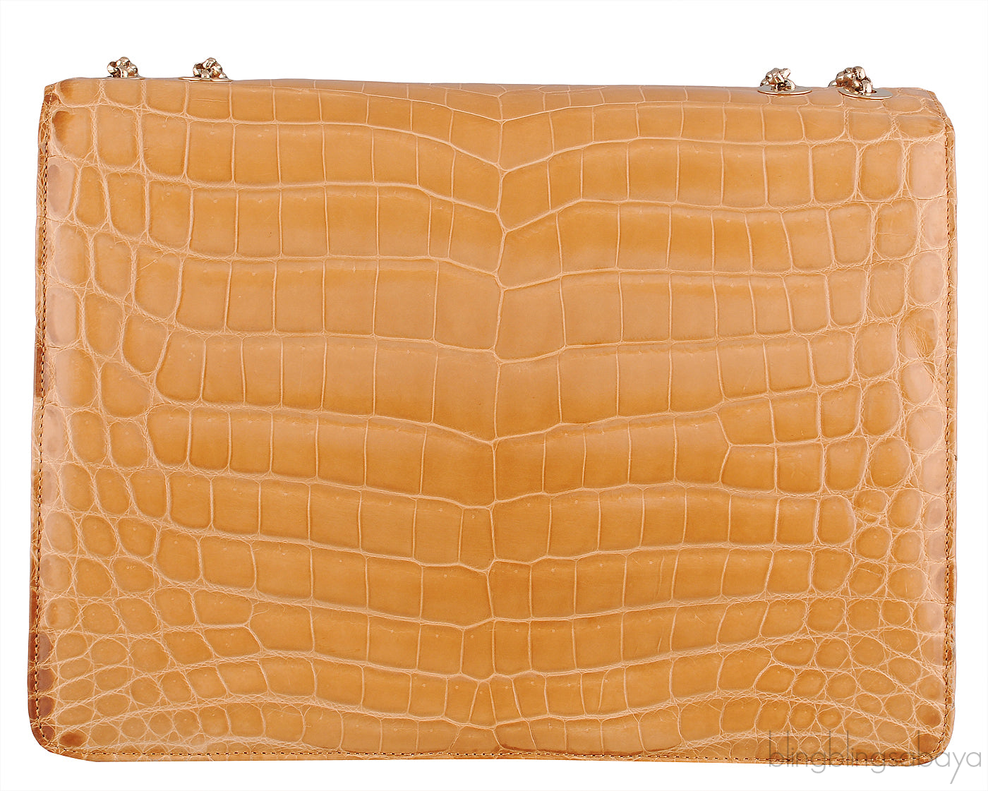 Beige Cornelia Lunch Box Crocodile Bag