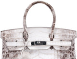 Birkin 30 Himalaya Matte Niloticus