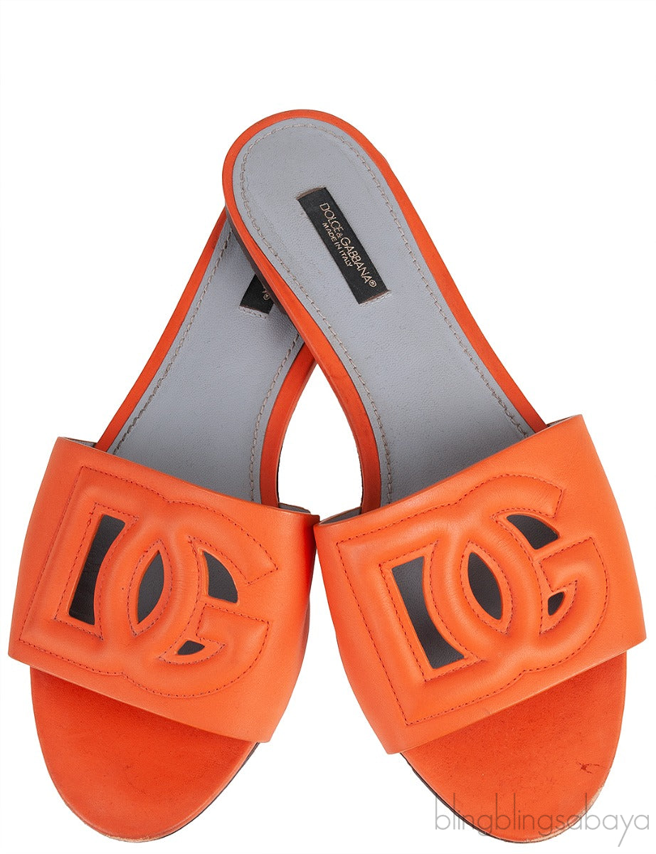 Orange DG Slide