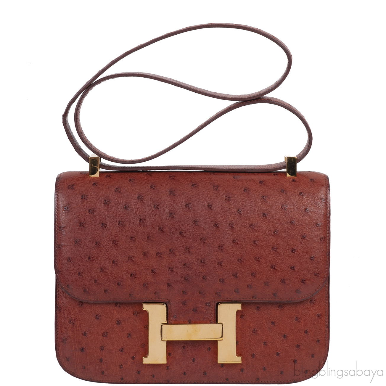 Hermes Vintage Constance 23 Brown Ostrich GHW