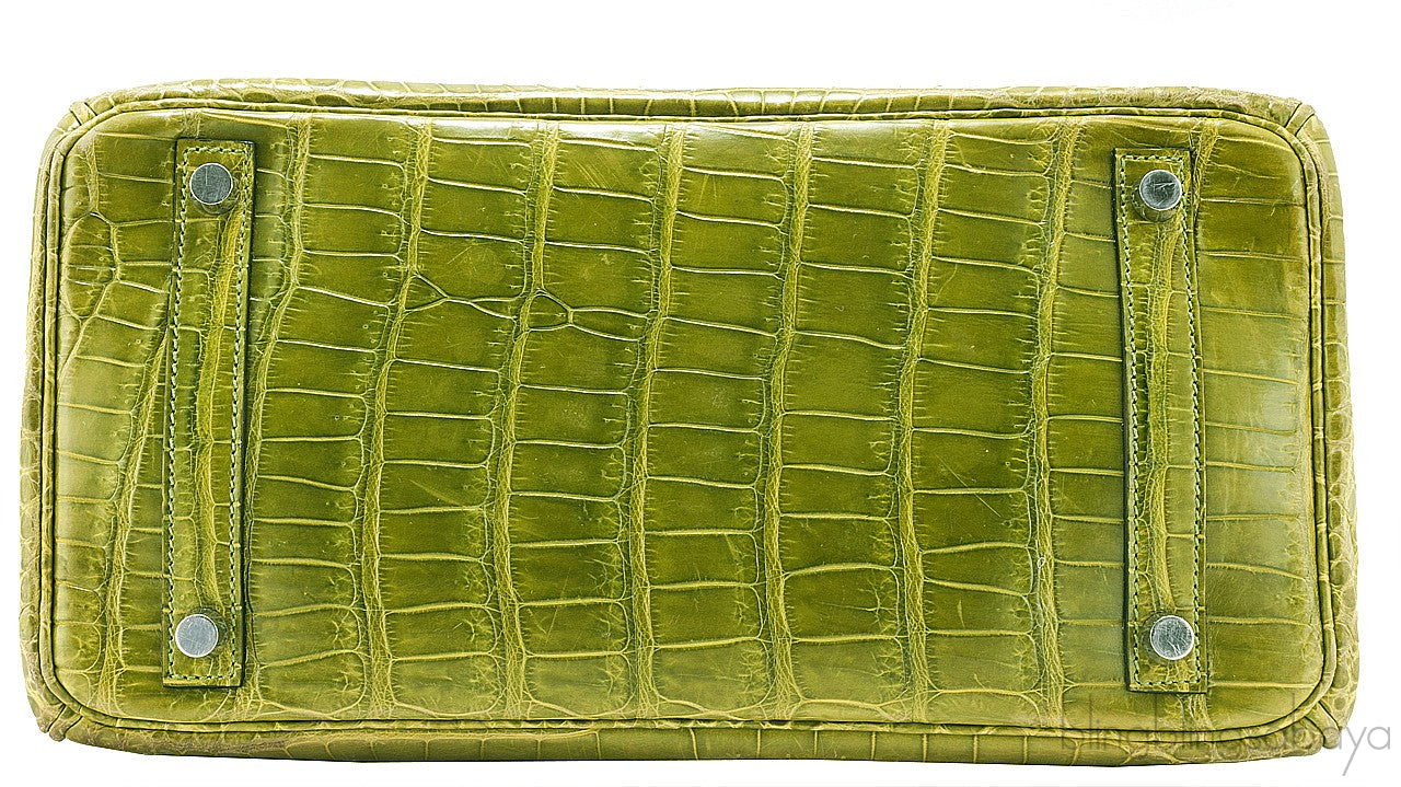 Birkin 30 Vert Pelouse Porosus