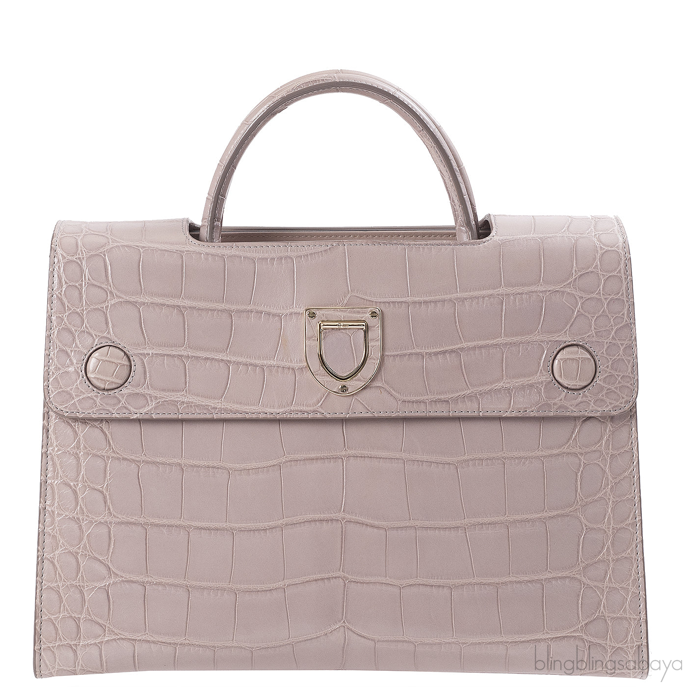 Christian Dior Diorever Crocodile Medium Bag