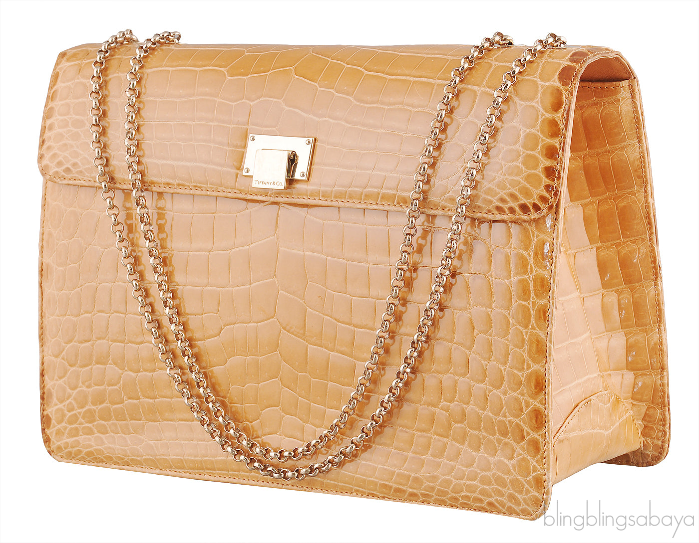 Beige Cornelia Lunch Box Crocodile Bag