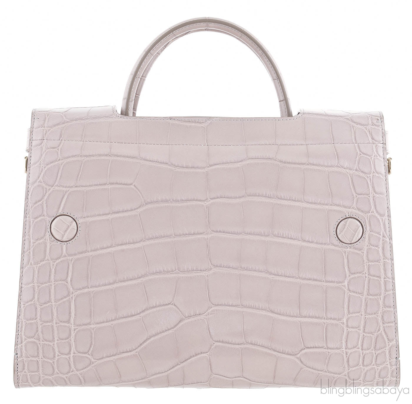 Christian Dior Diorever Crocodile Medium Bag
