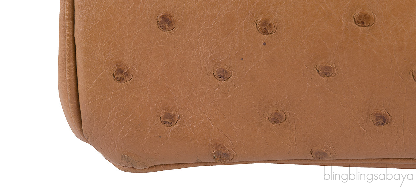 Birkin 30 Ostrich Cognac GHW