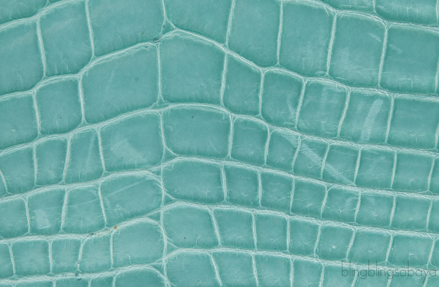 Tiffany Blue Cornelia Lunch Box Crocodile Bag