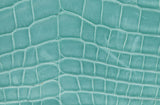 Tiffany Blue Cornelia Lunch Box Crocodile Bag
