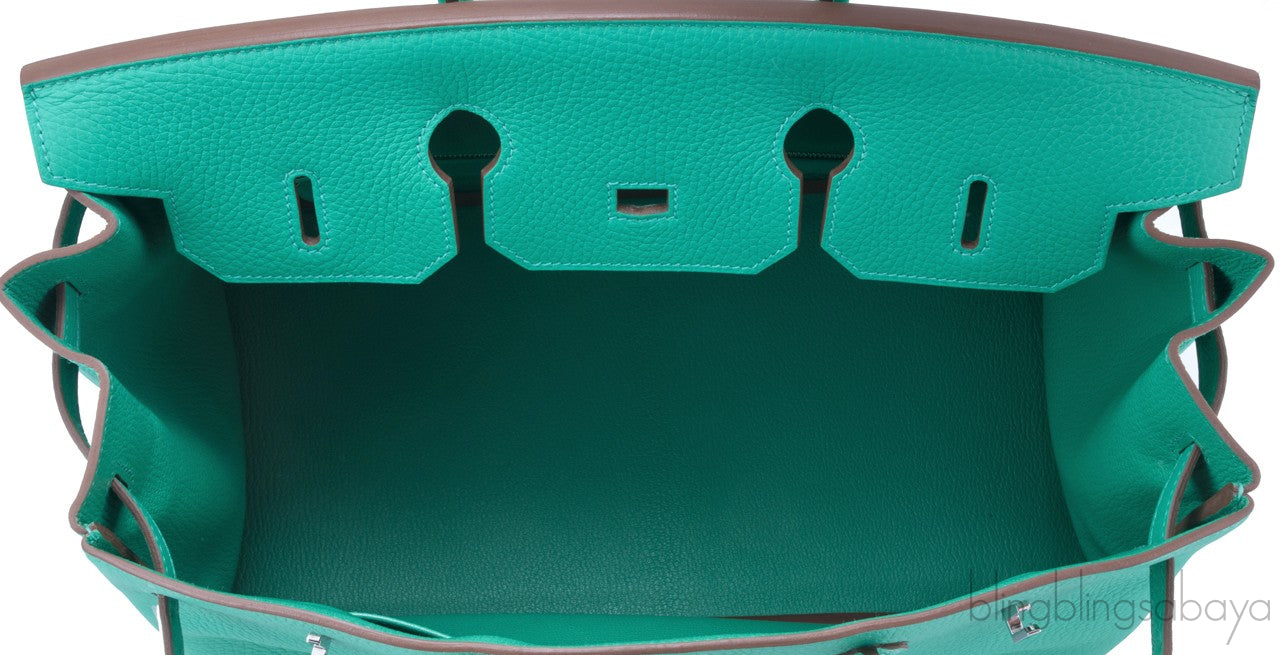 Birkin 35 Mint Taurillon Clem