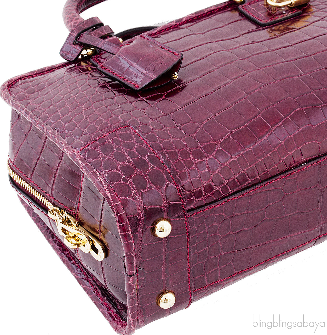 Amazona 23 Bordeaux Crocodile Bag