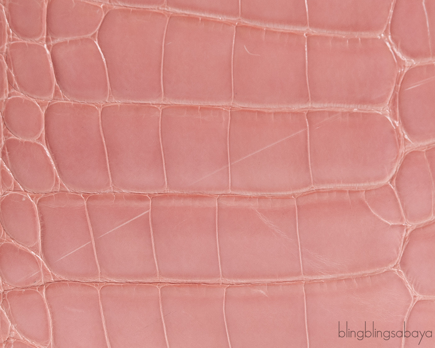 Capucine Vieux Rose Crocodile BB